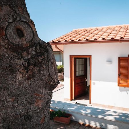 Magnolia Rooms Civitavecchia Luaran gambar